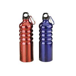 Promotional Aluminum Bottles with Carabiner (28 Oz.)